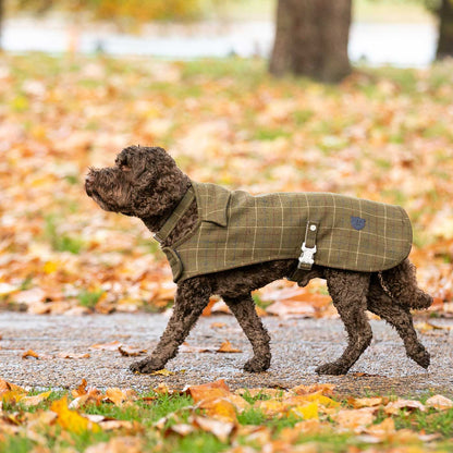 Hugo & Hudson Dark Green Check Collar