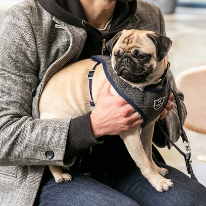 Hugo & Hudson Grey Checked Herringbone Dog Harness