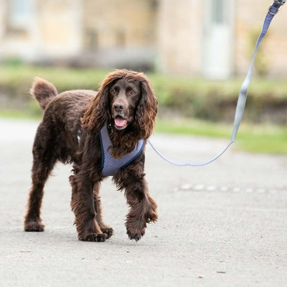 Hugo & Hudson Navy Stripe Lead