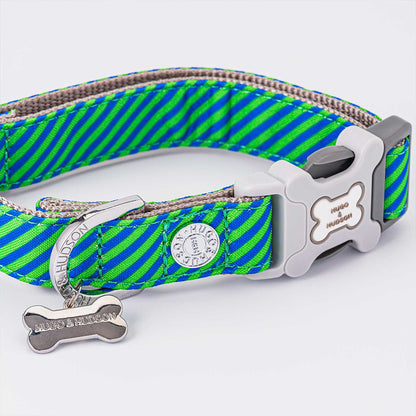 Hugo & Hudson Navy & Green Stripe Collar