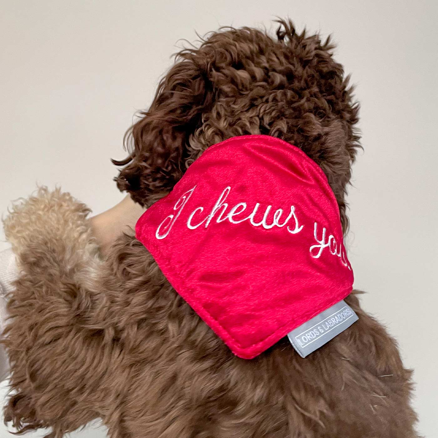 Discover The Perfect Bandana For Dogs, 'I Chews You' Valentine Dog Bandana In Luxury Cranberry Velvet, Available Now at Lords & Labradors