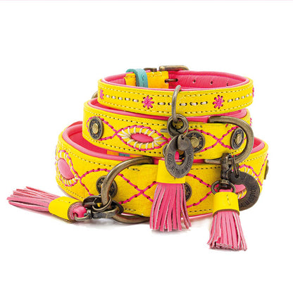 Jessie Dog Collar by DWAM