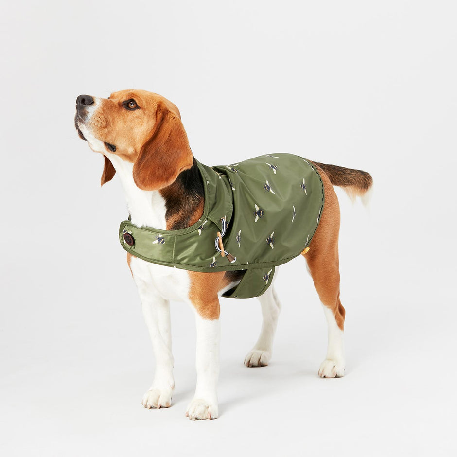 Designer Dog Coats | Tweed & Waterproof Coats for Dogs | Lords & Labradors