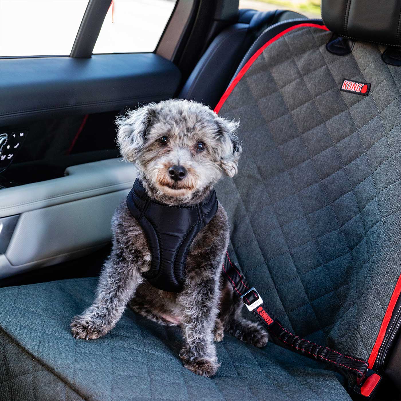 Dog seat belt hot sale tether with swivel