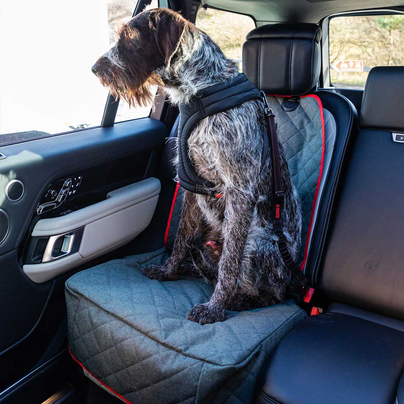 Schnauzer car seat outlet covers