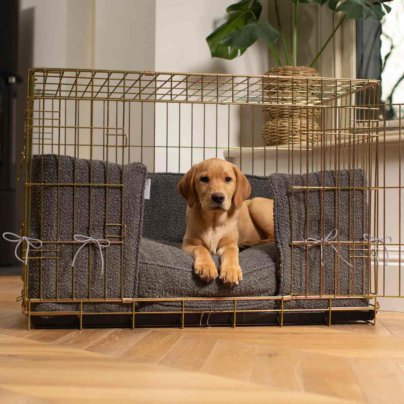 B and m dog clearance crate