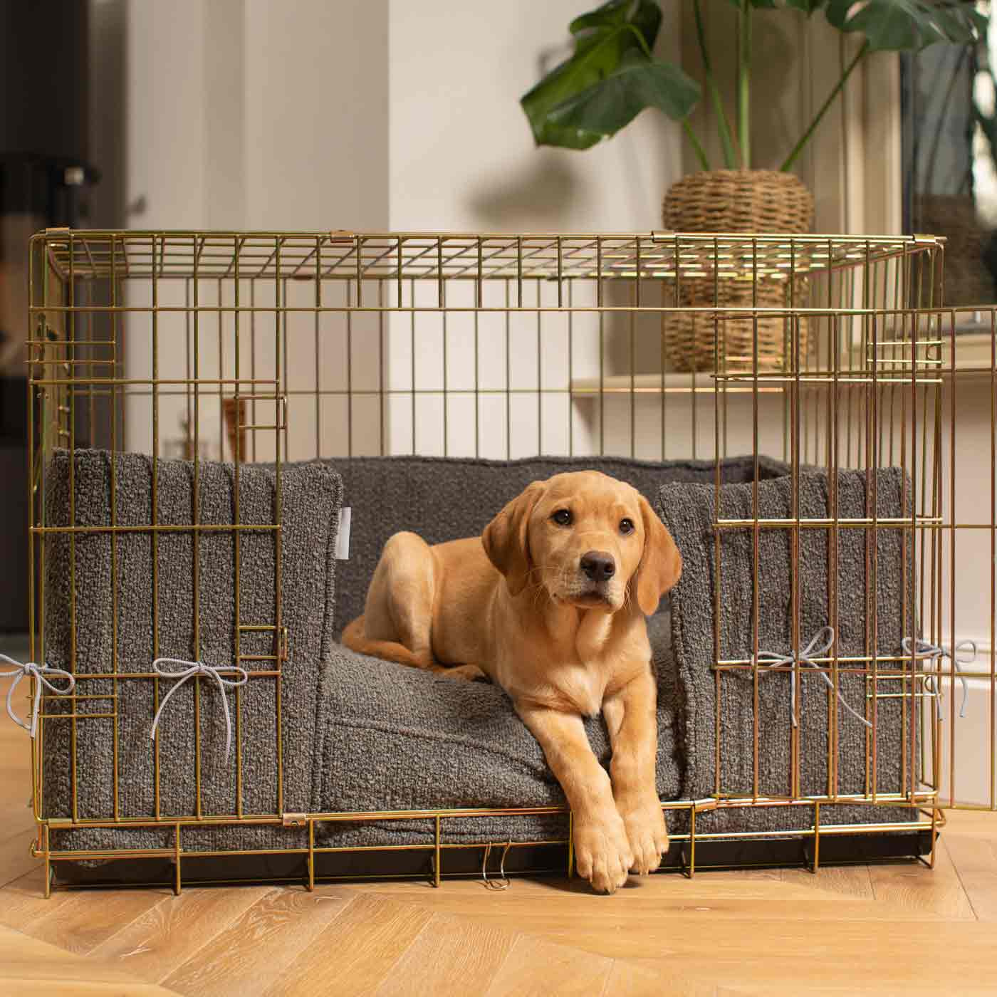 Discover Our Heavy-Duty Dog Crate With Granite Bouclé Cushion & Bumper! The Perfect Crate Accessories. Available To Personalise Here at Lords & Labradors 