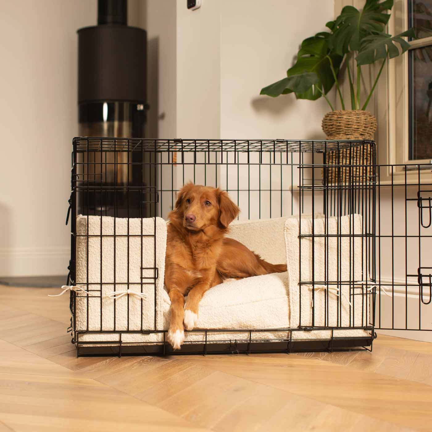 Dog crate 2024 for mastiff