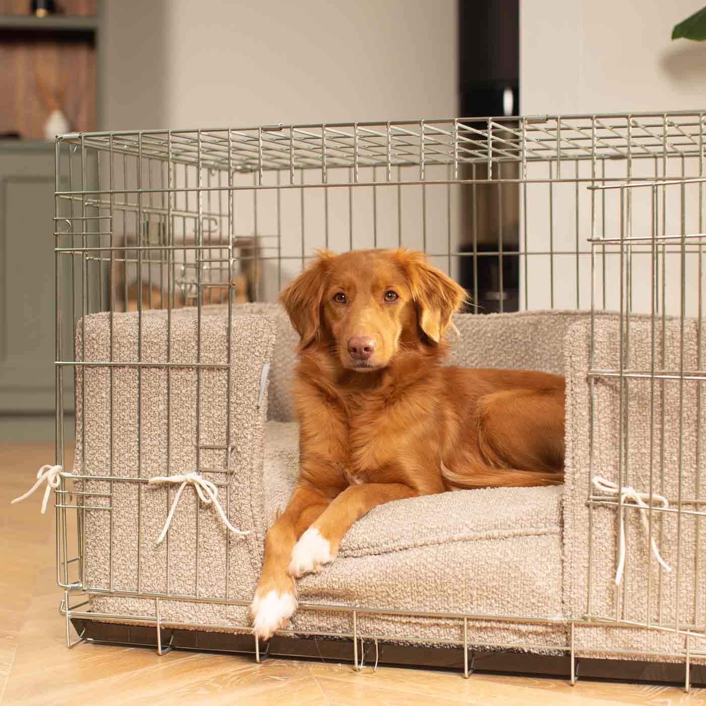 Fancy on sale dog cage