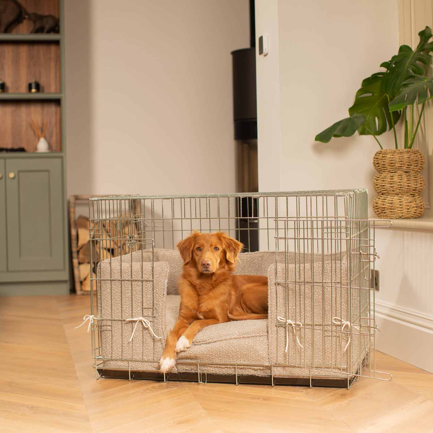 Buy dog store crate near me