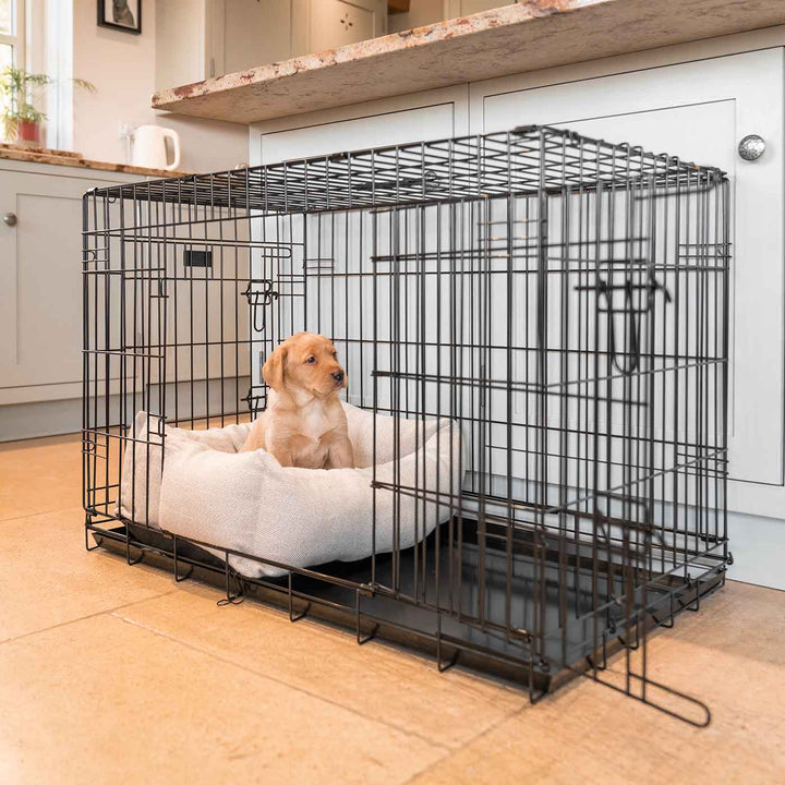 How To Crate Train Your New Puppy | L&L Info Hub – Lords & Labradors