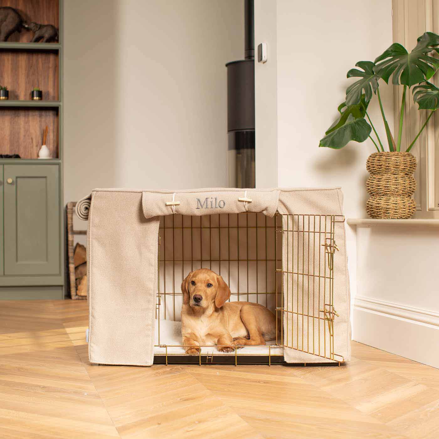 Upscale dog outlet crates