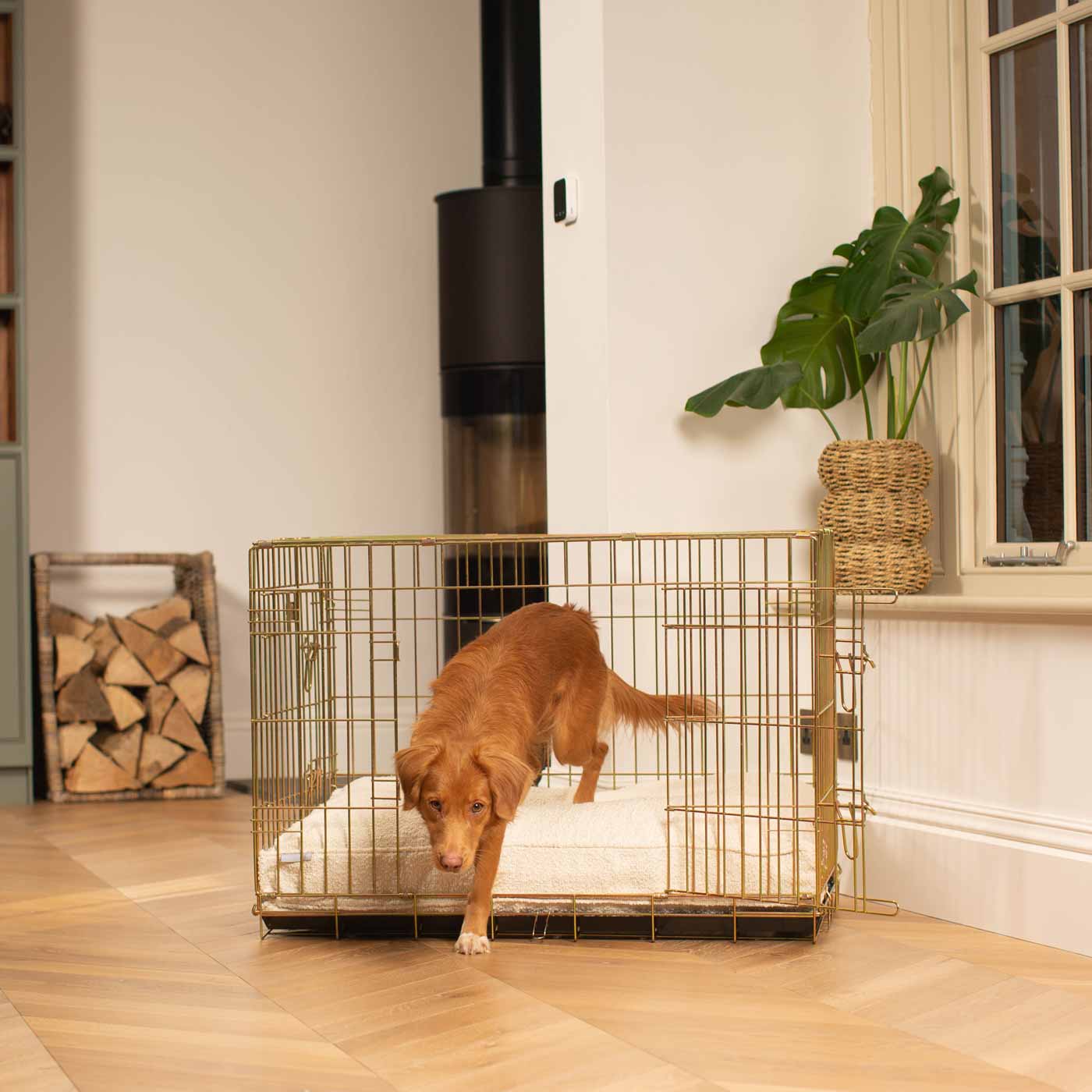 Discover Our Heavy-Duty Dog Crate With Luxury Dog Cushion Set! The Perfect Crate Accessory For Pet Burrow. Available To Personalise In Stunning Ivory, Mink, Granite Bouclé Here at Lords & Labradors 