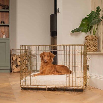 Discover Our Heavy-Duty Dog Crate With Luxury Dog Cushion Set! The Perfect Crate Accessory For Pet Burrow. Available To Personalise In Stunning Ivory, Mink, Granite Bouclé Here at Lords & Labradors 