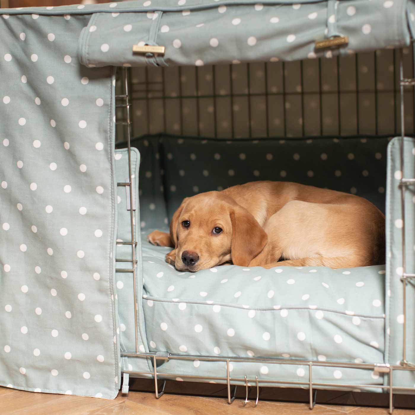 Dog crate for store labrador