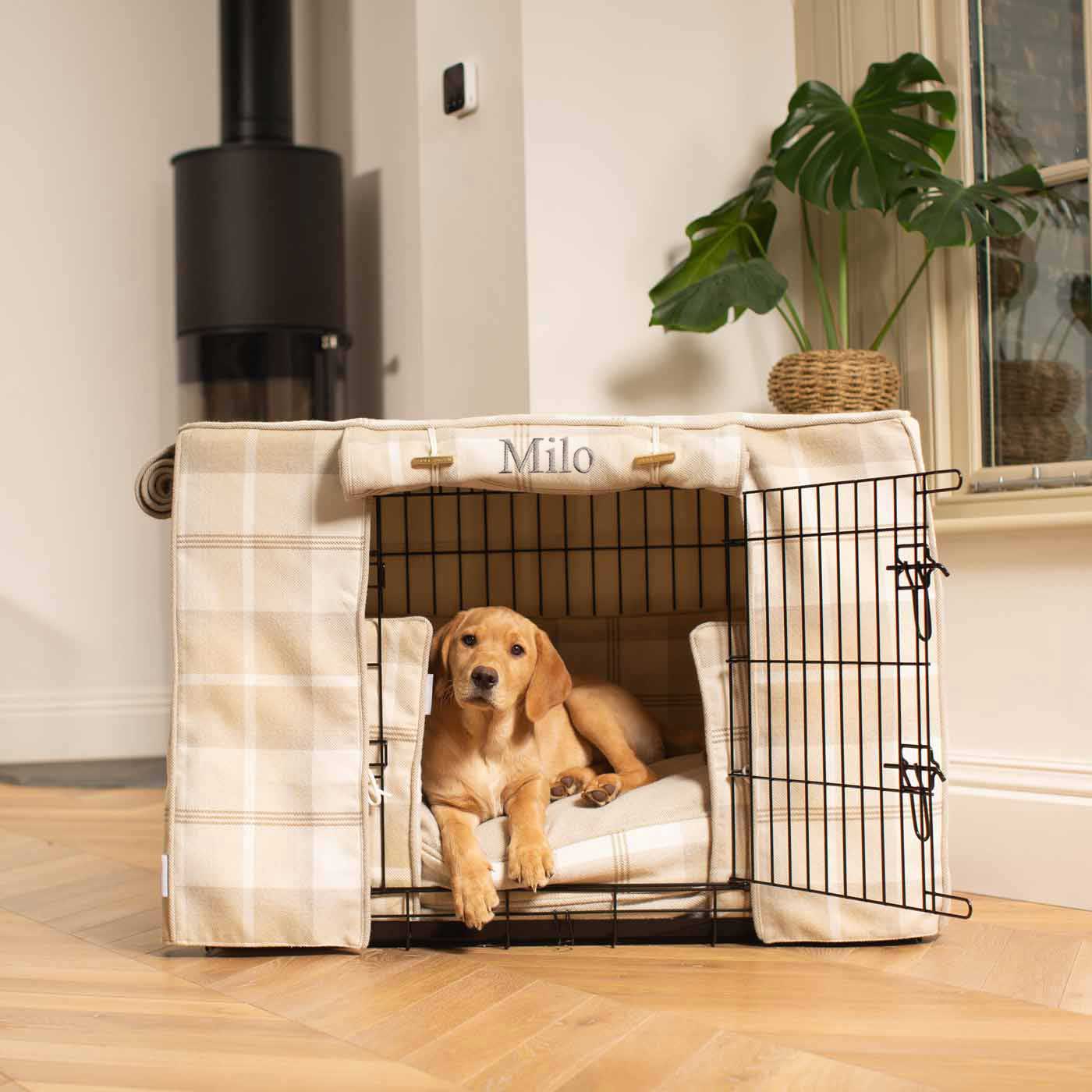 B and m dog clearance crate