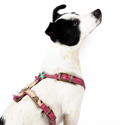 Lou Lou Dog Harness by DWAM