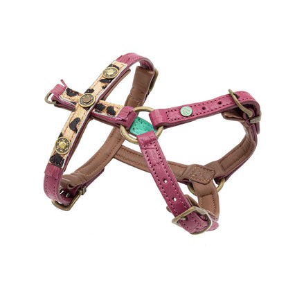 Lou Lou Dog Harness by DWAM