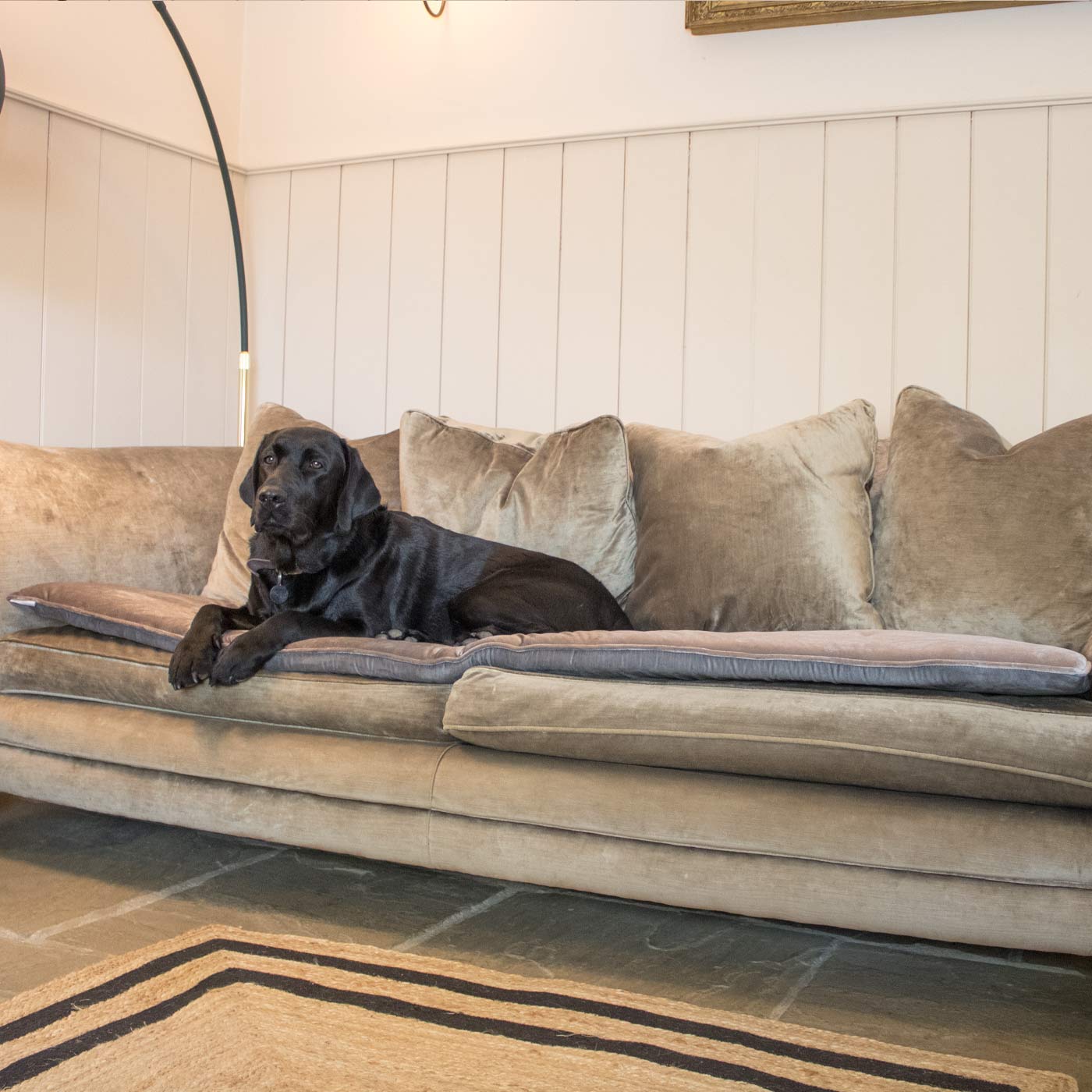 [colour:mink velvet]  Discover Our Luxury Velvet sofa Topper, The Perfect Pet sofa Accessory In Stunning Mink Velvet! Available Now at Lords & Labradors