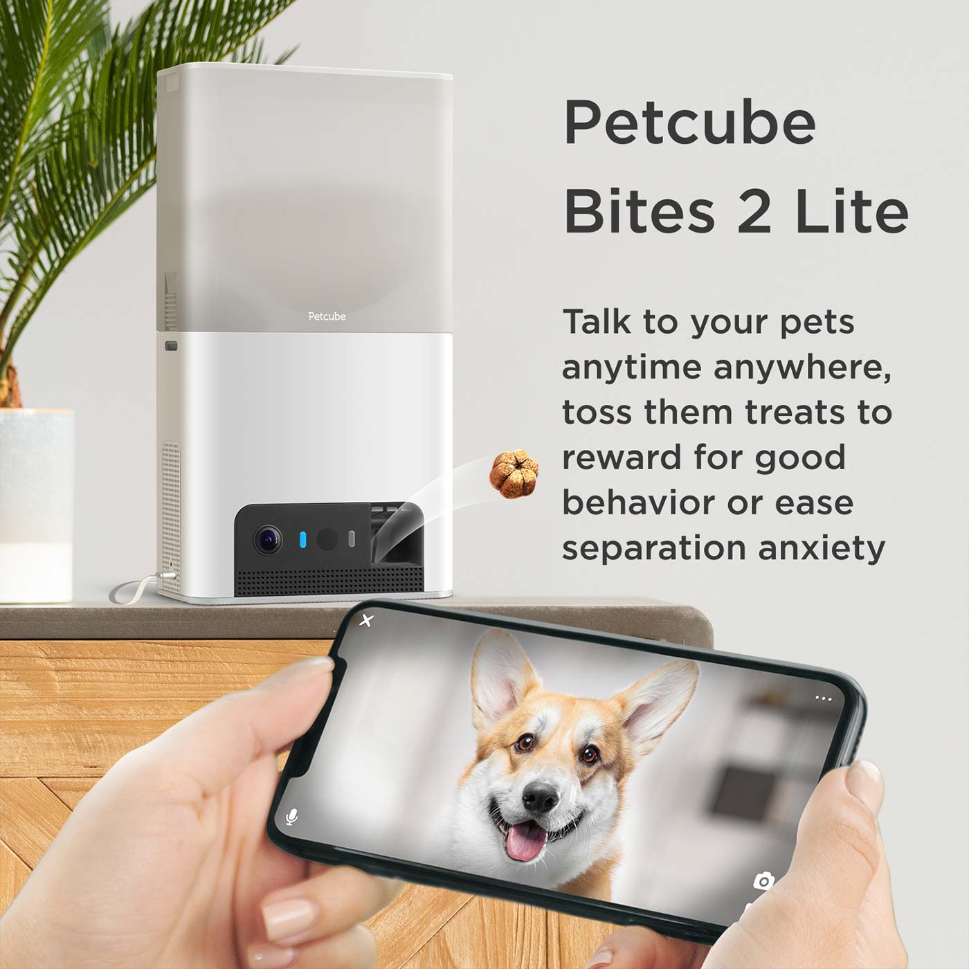 Petcube bites pet camera with hot sale treat dispenser