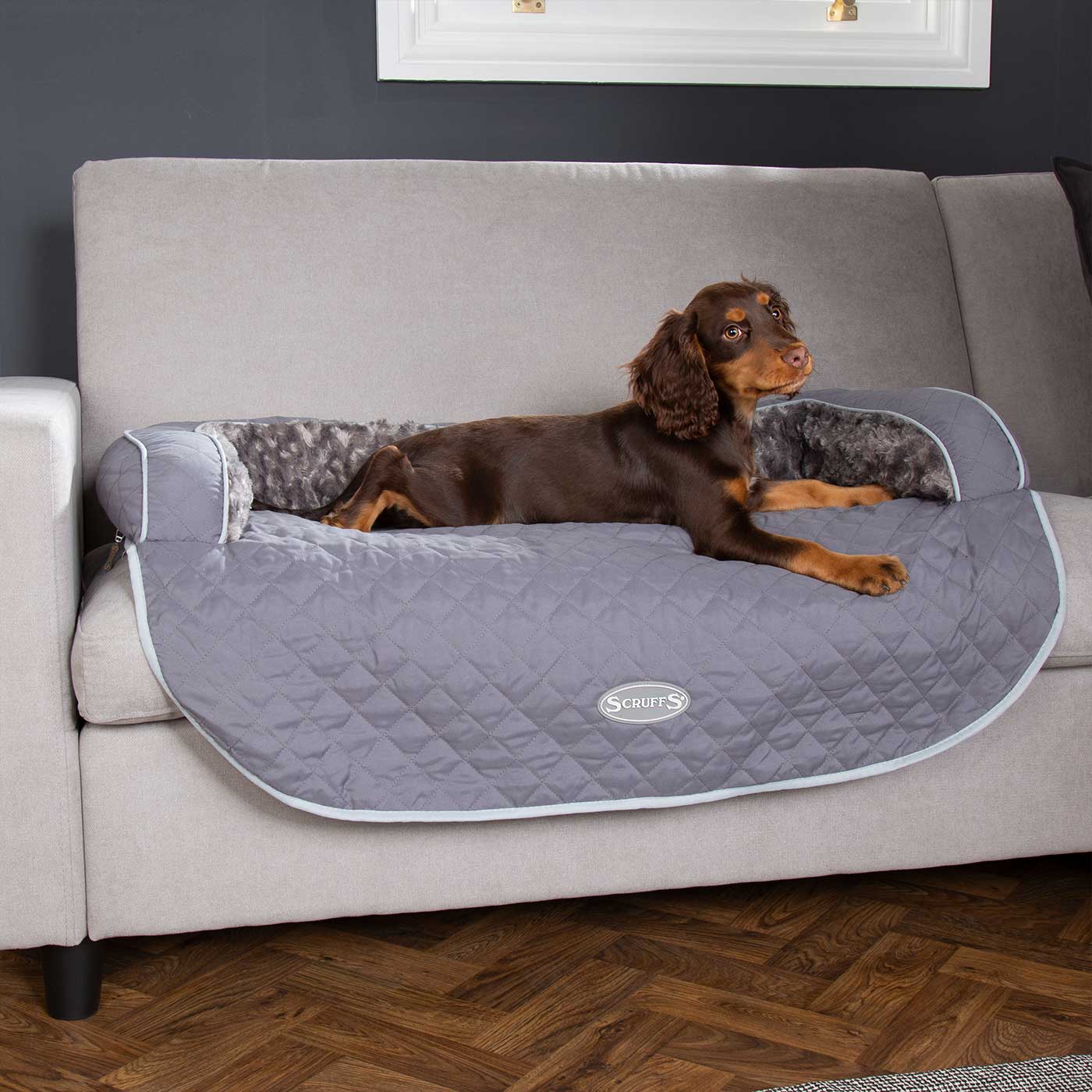 Scruffs dog outlet beds uk