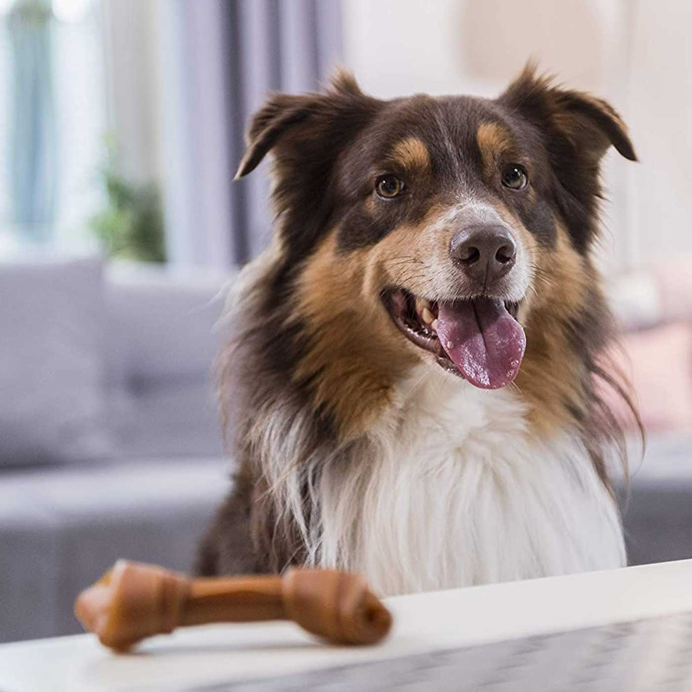 SmartBones Medium Beef Bones