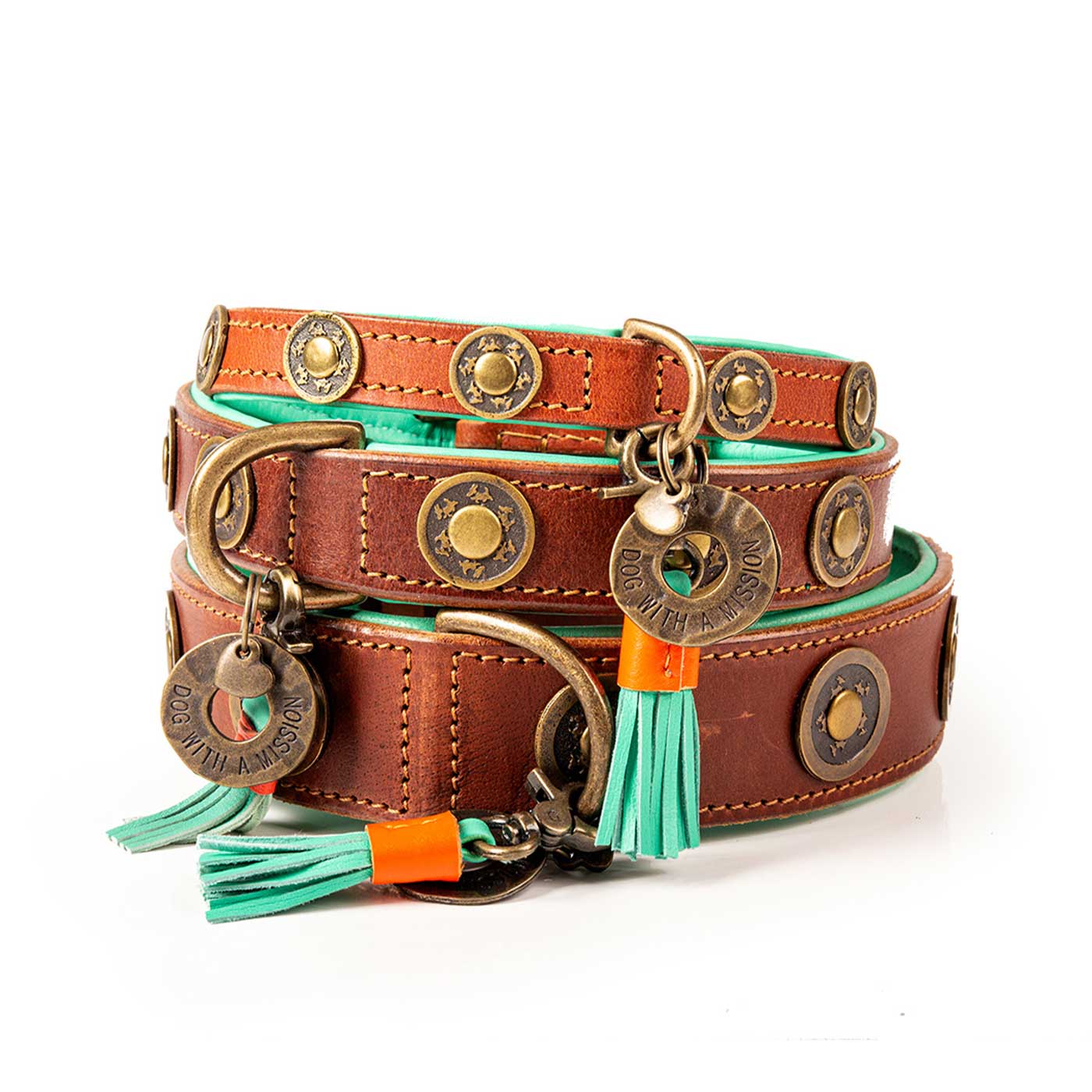 Urban Dog Collar by DWAM