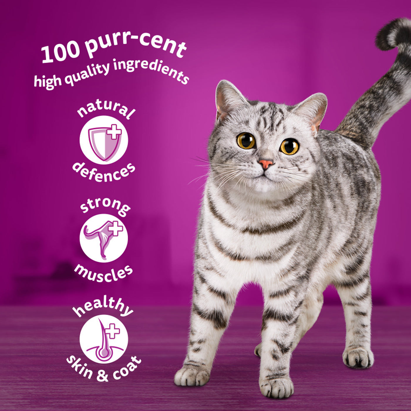 Whiskas 1+ Cat Mixed Menu in Jelly (40x85g)