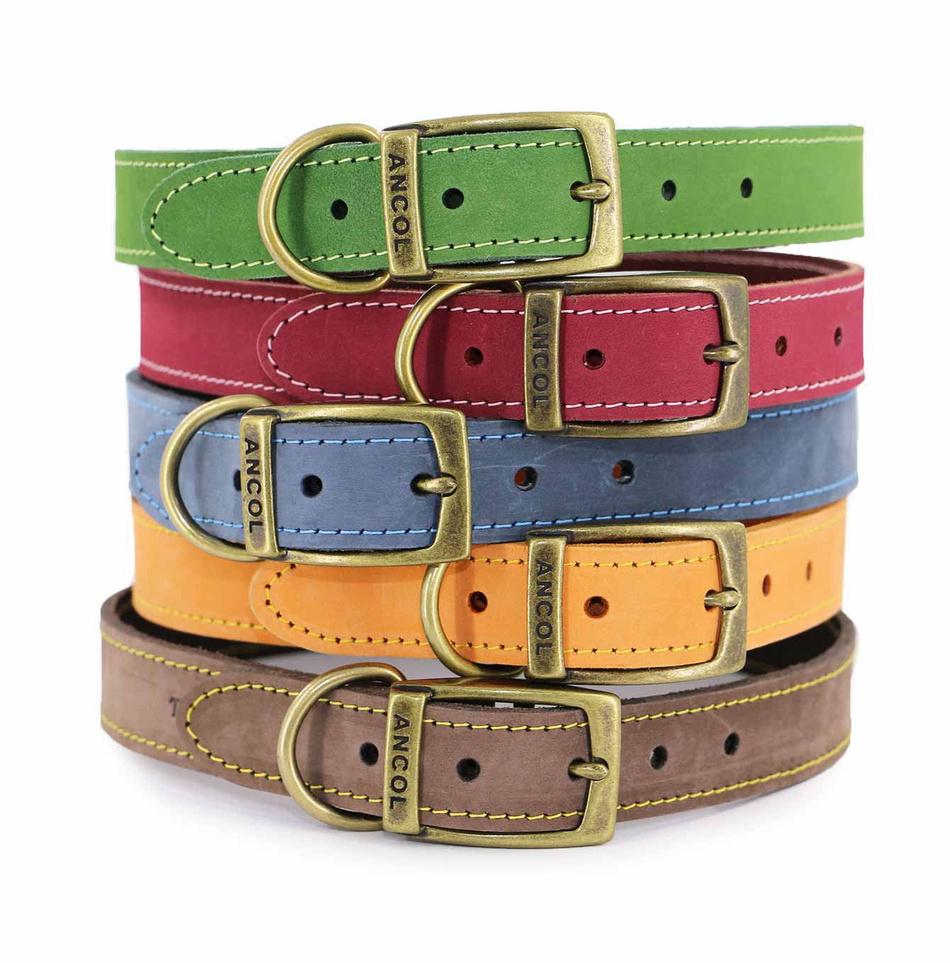 Timberwolf Leather Collar | Ancol Dog Walking | Lords and Labradors ...