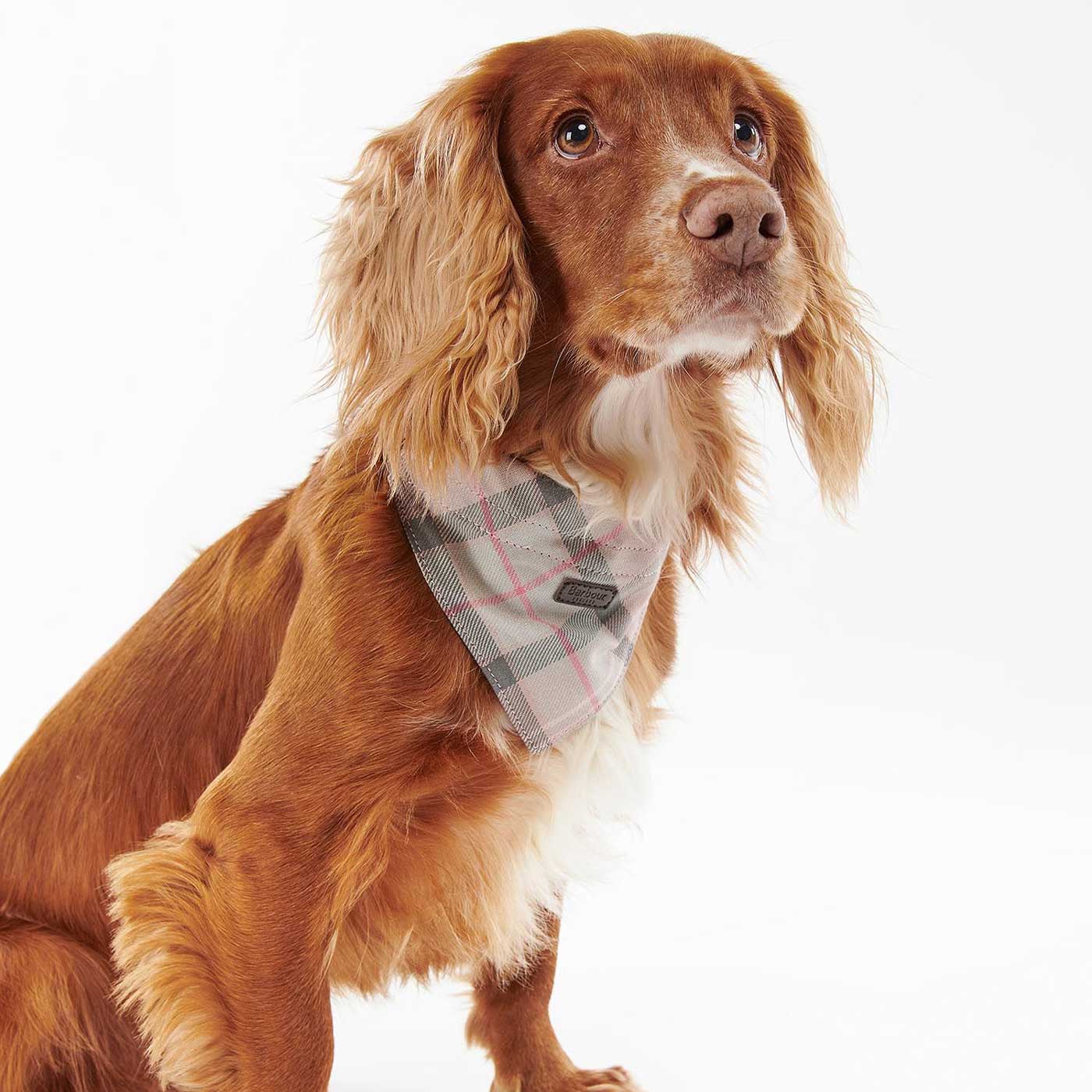 Barbour waterproof tartan dog fashion coat