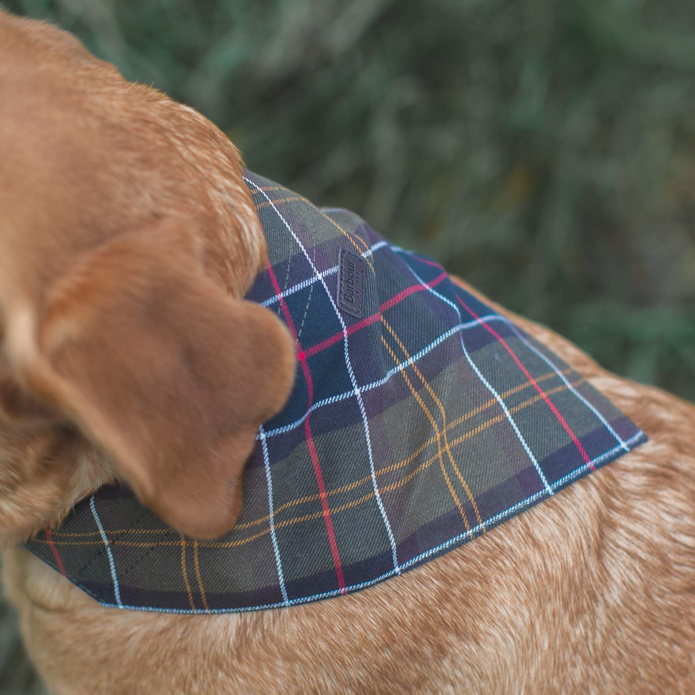 Barbour dog sales scarf