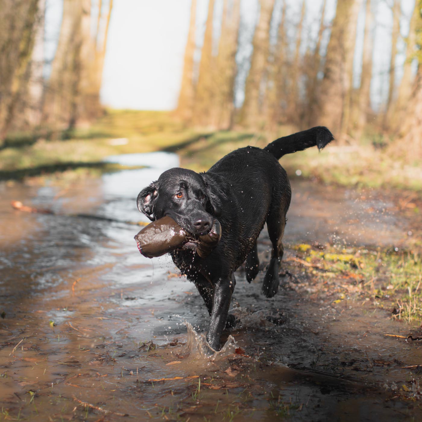 Discover the Barbour Wellington Boot Dog Toy, at Lords and Labradors