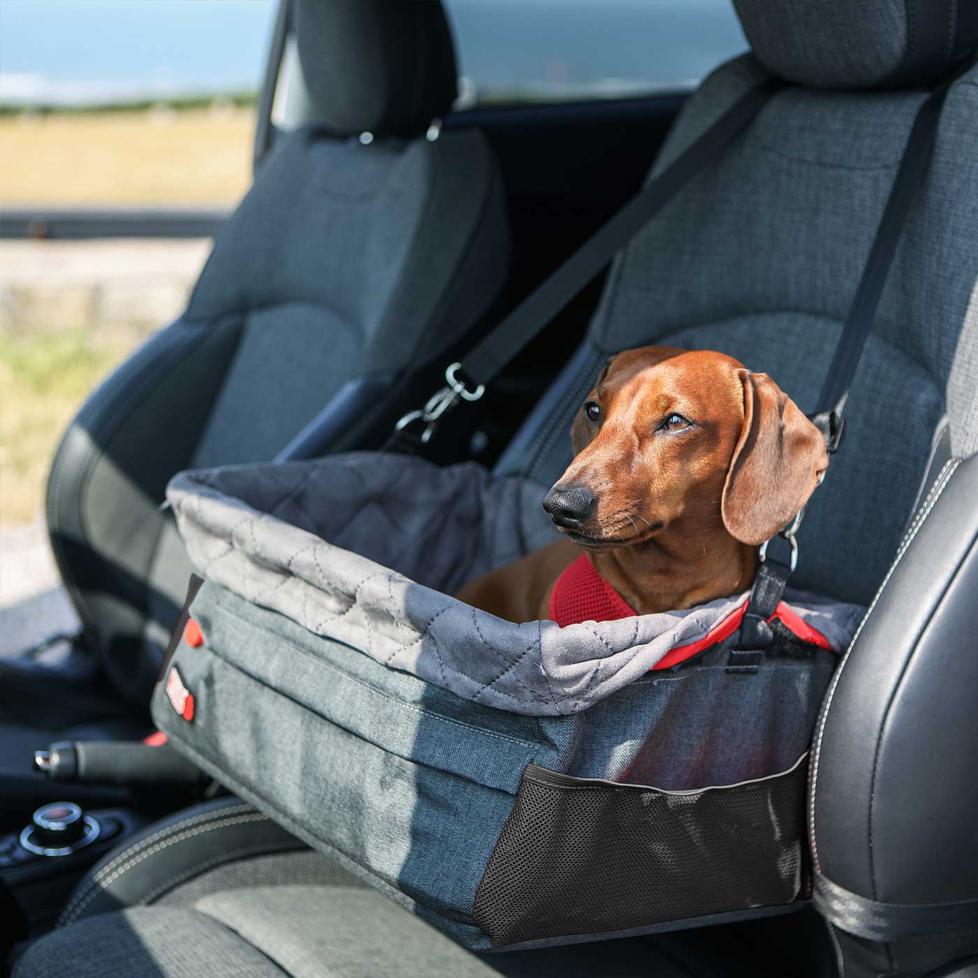 KONG Secure Booster Seat for Dogs