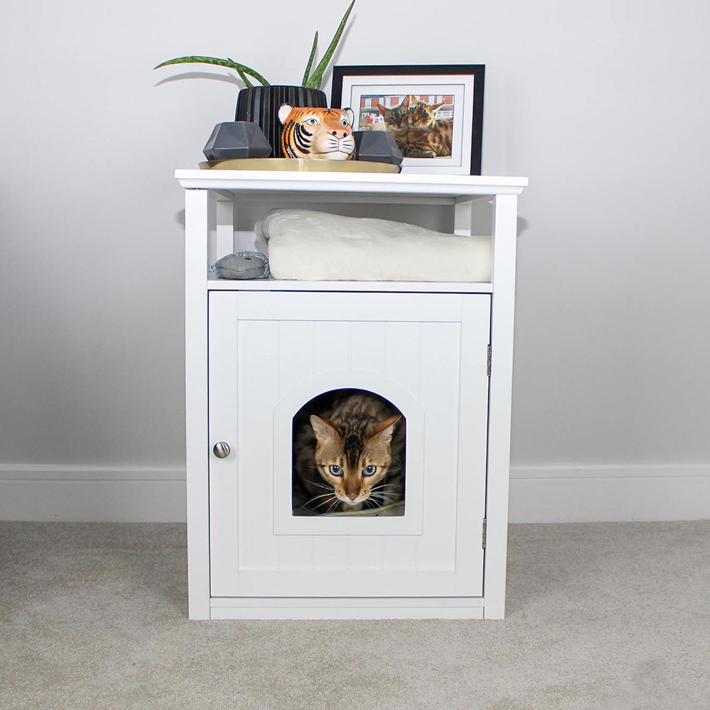 Discreet cat 2024 litter box