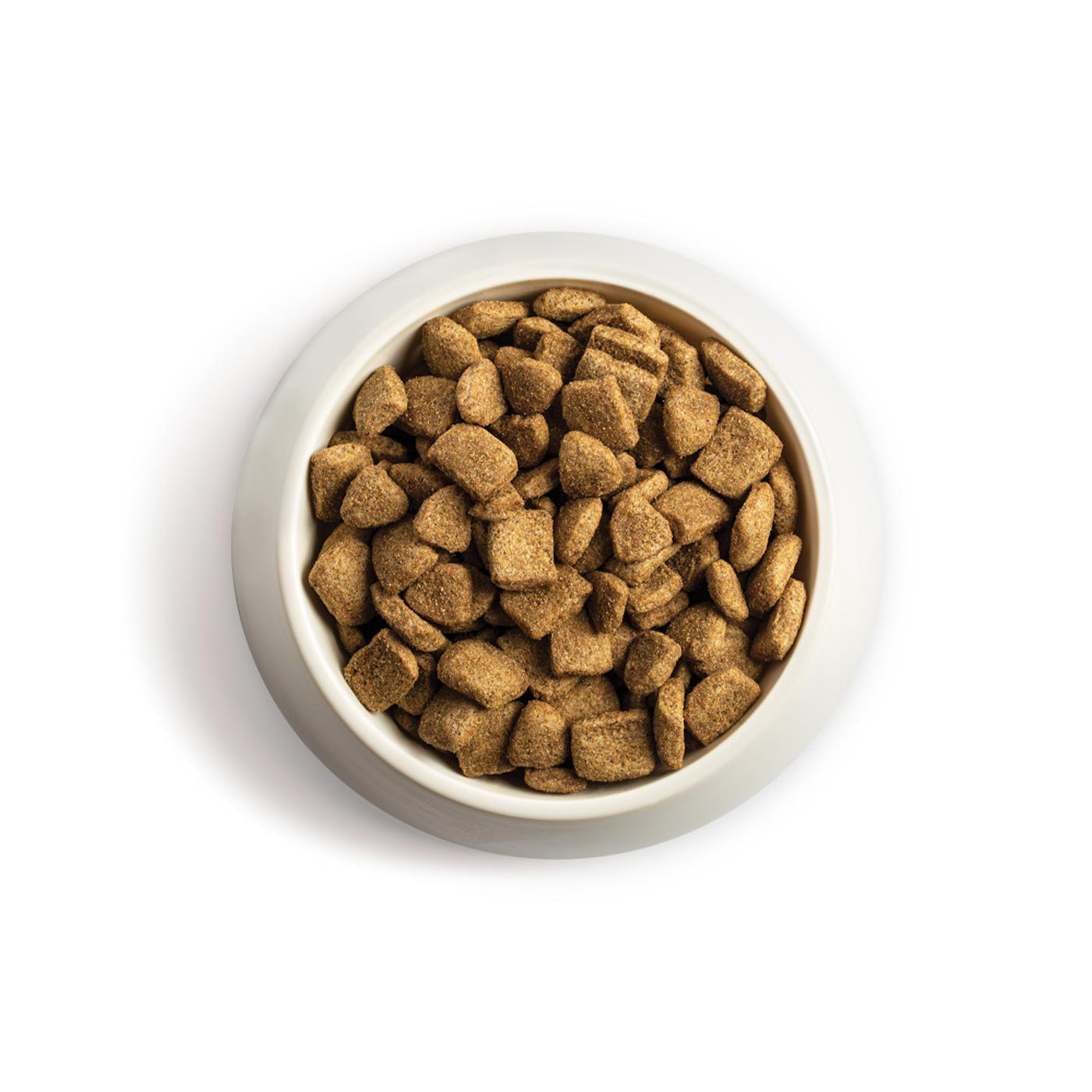 Buy chappie best sale dog food