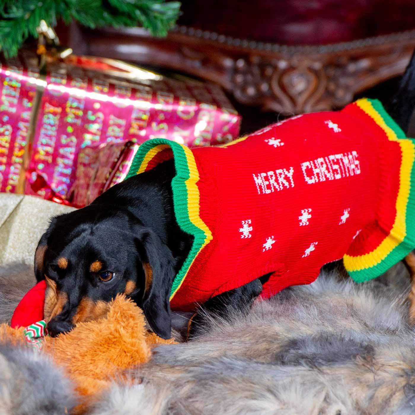 Rottweiler sales christmas jumper