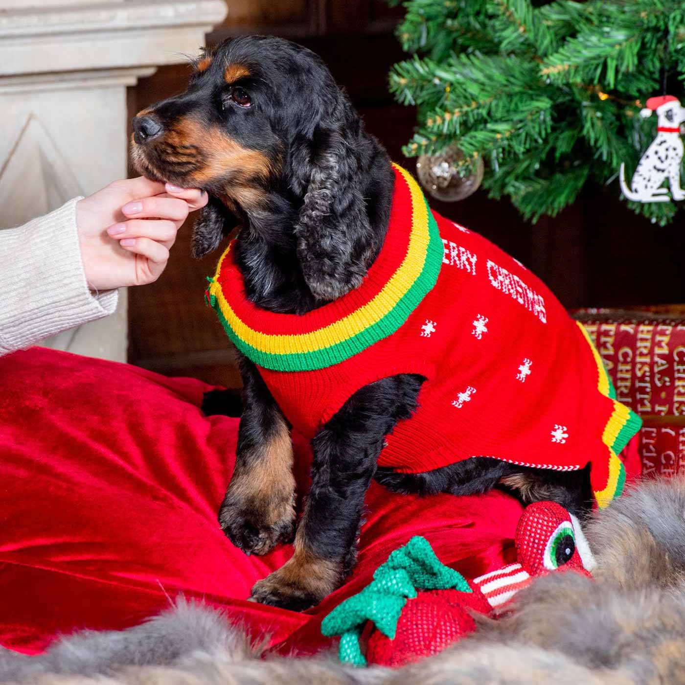 Christmas jumper hot sale with dog