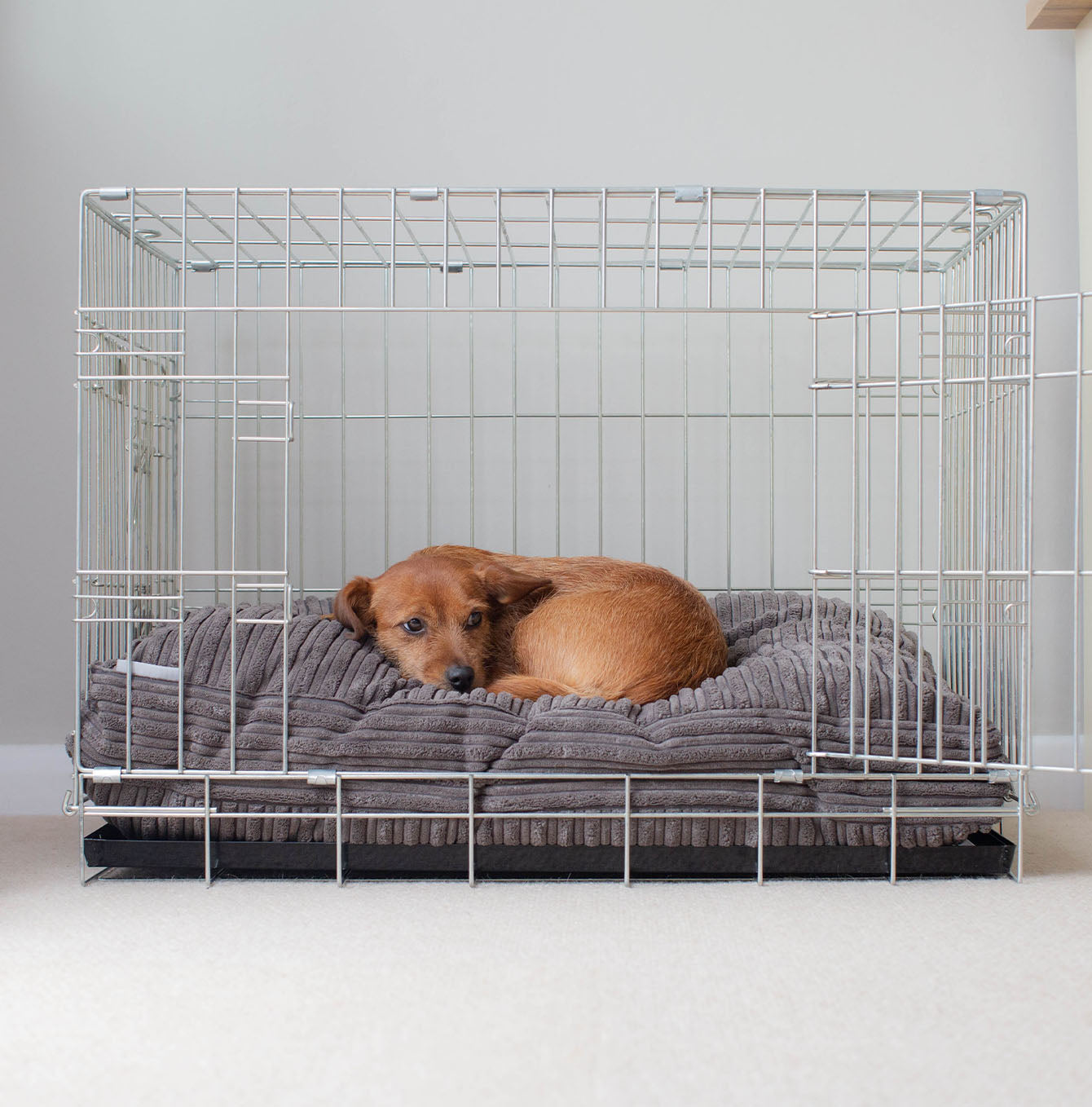 Gray dog hot sale crate