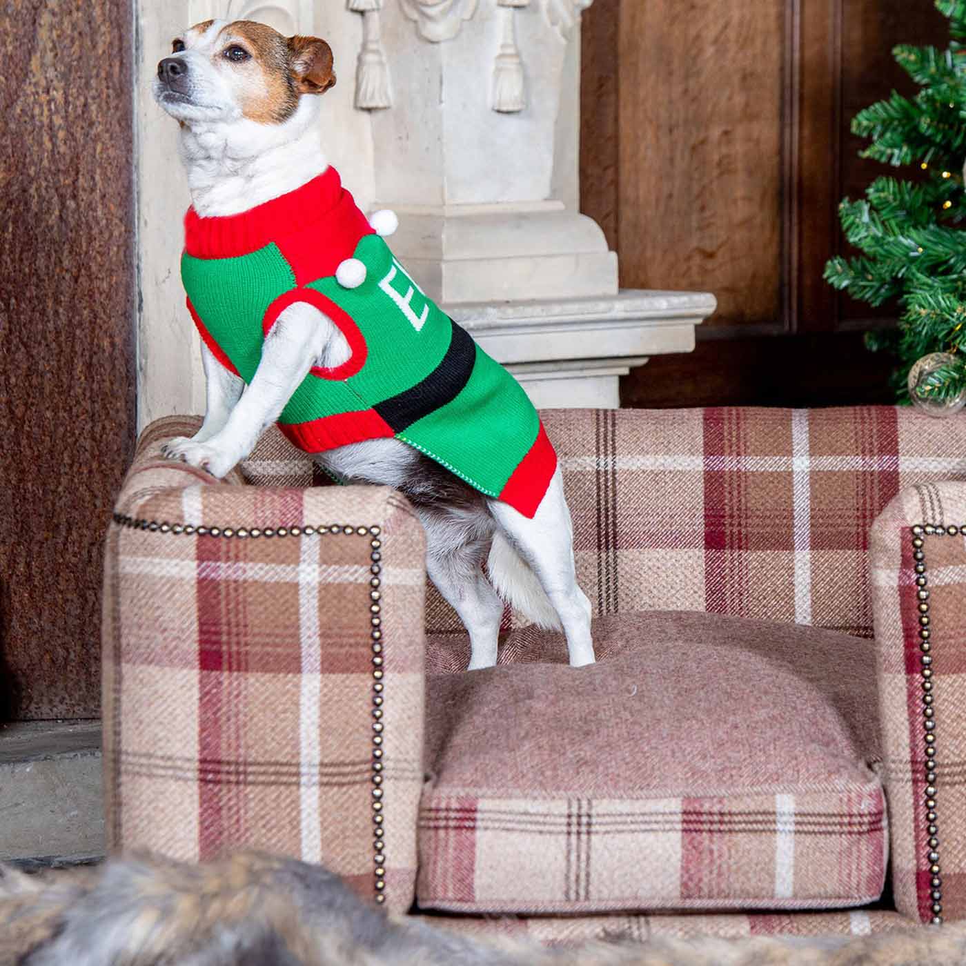 Dog sale elf jumper