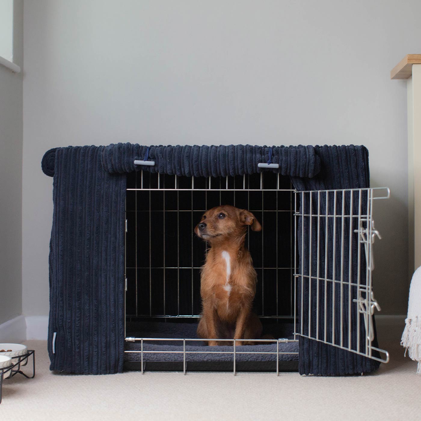 500 series best sale dog crate