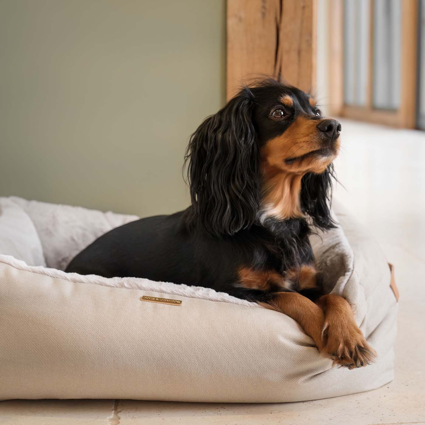 Best dog beds for cavalier king charles spaniels sales