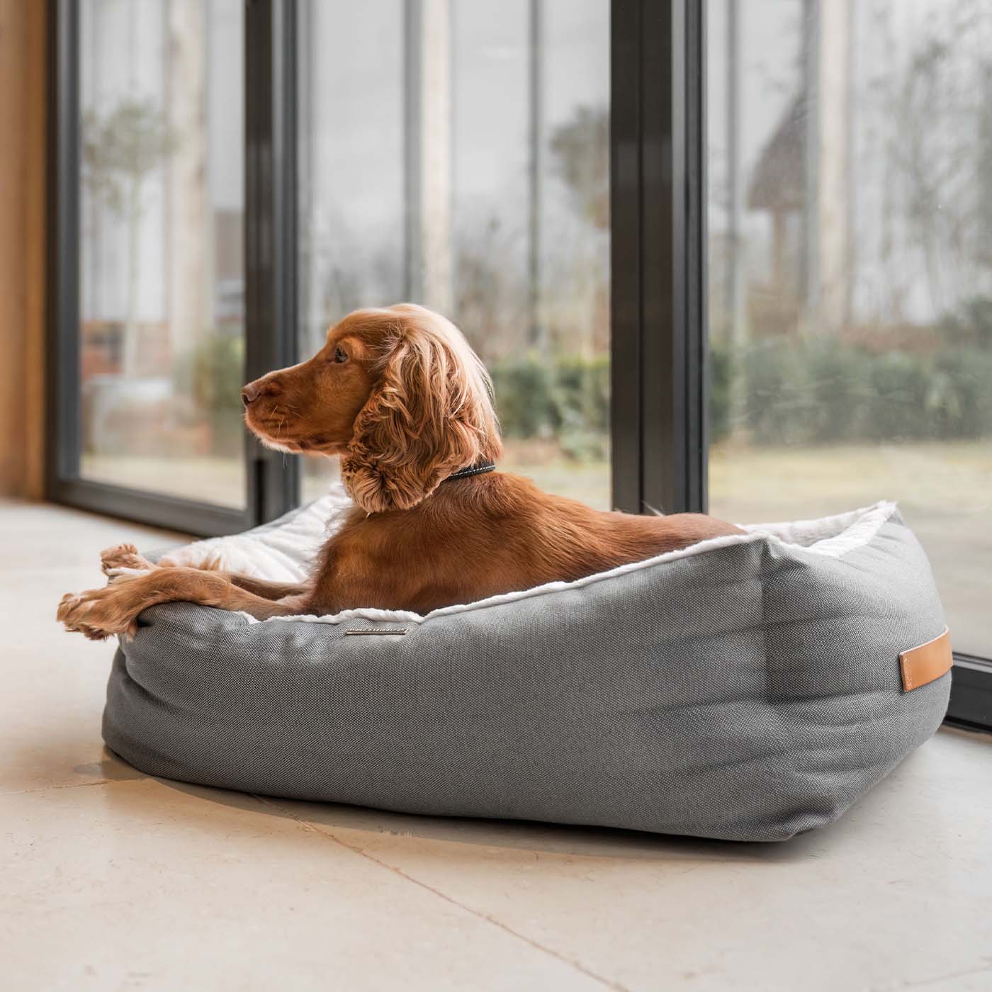 Best dog bed for labs sale