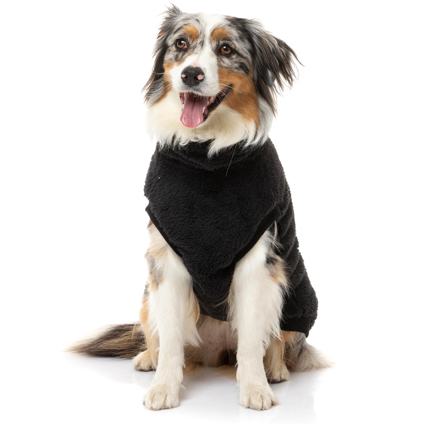 [Colour: Black] Discover FuzzYard Turtle Teddy Sweater, available in five colours and six sizes. Now available at Lords and Labradors