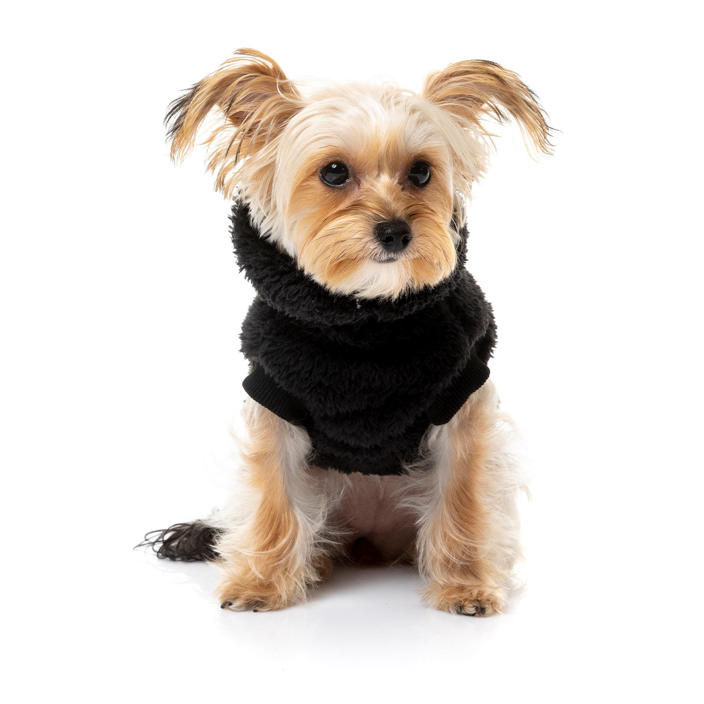 [Colour: Black] Discover FuzzYard Turtle Teddy Sweater, available in five colours and six sizes. Now available at Lords and Labradors