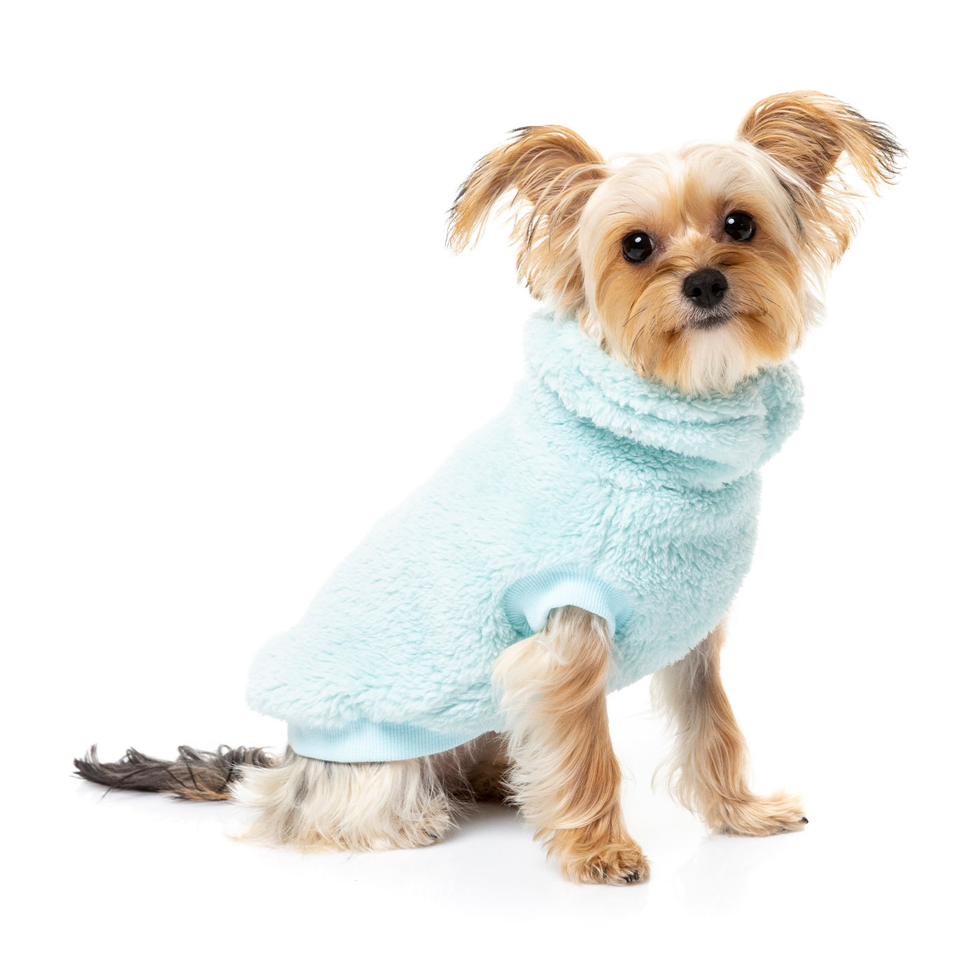 Turtle Teddy Dog Sweater – For The Love Of Dogs Pet Boutique