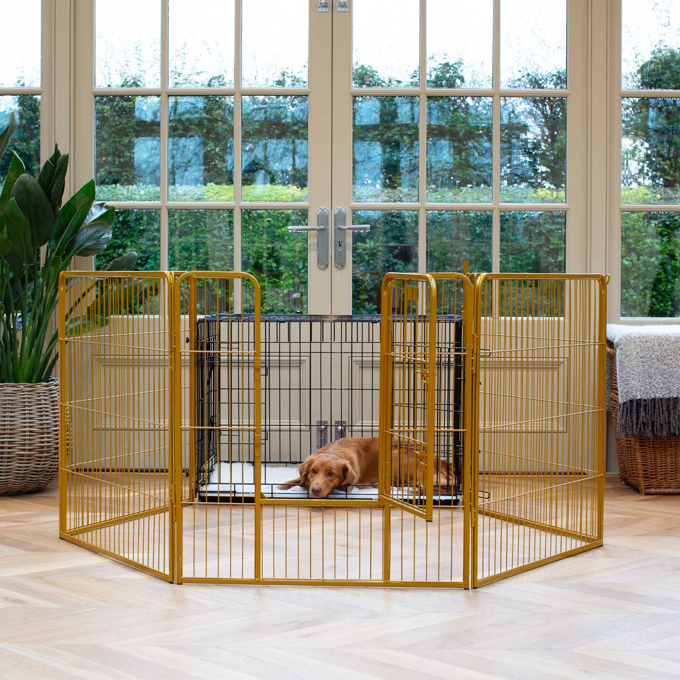 Plastic dog 2024 exercise pen