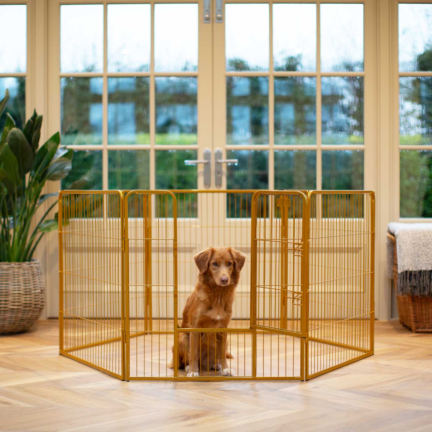 Retriever sales dog pen