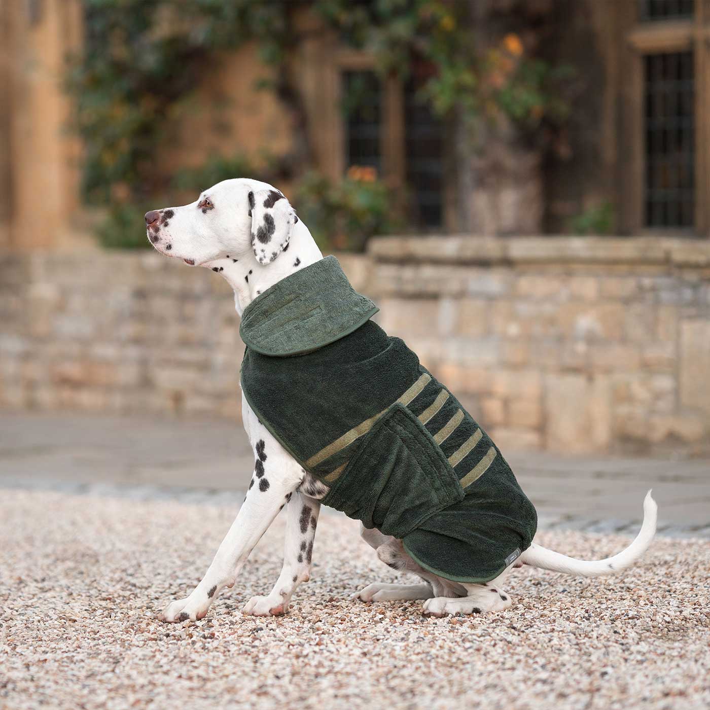 Fir Dog Drying Coat Grooming Travel Essentials Lords Labradors