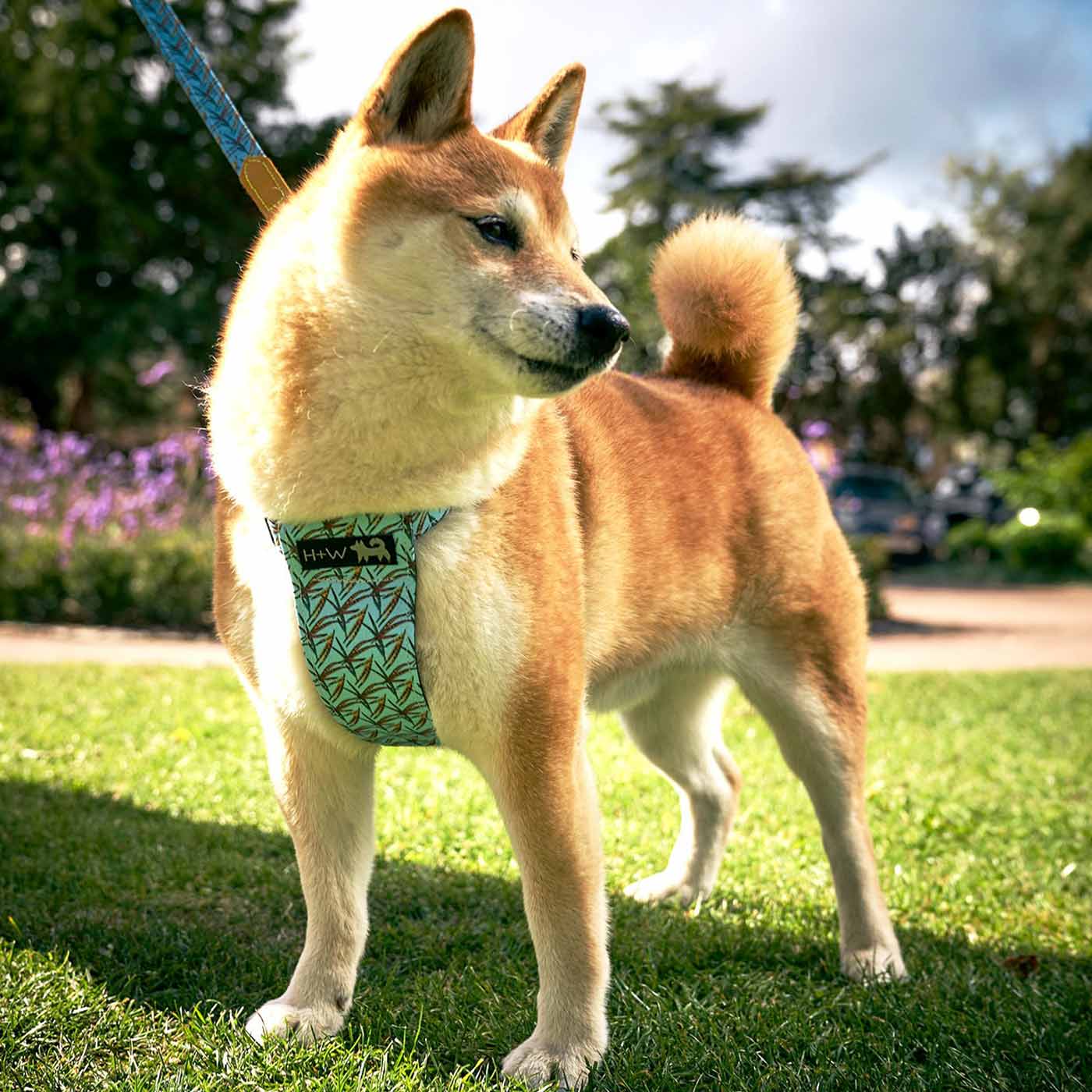 [colour:pheasant]  Set & accessorise your pooch ready for a stylish dog walk with Hiro + Wolf X L&L Dog Harness, the perfect dog walking accessory! Available in 3 stylish designs and 2 sizes at Lords & Labradors