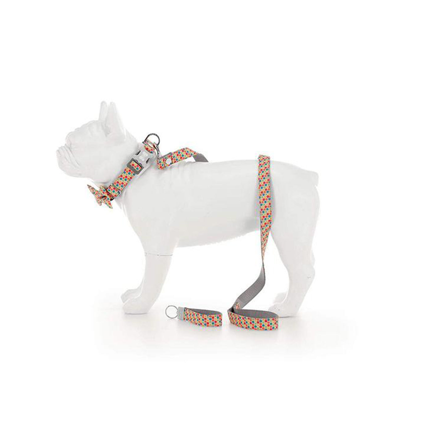 Hugo & Hudson Multicoloured Walking Set